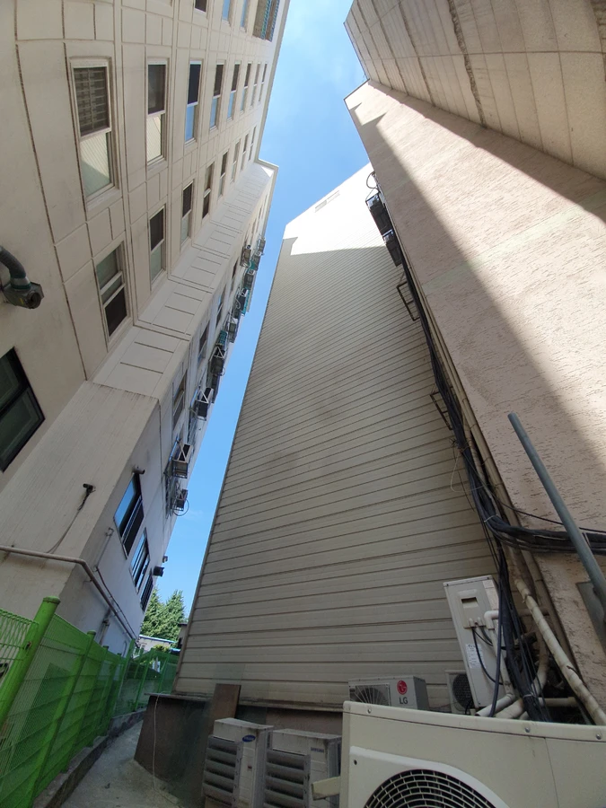 강남 쓰러진나무제거 나무 제거 후 현장 잔재물 완전 정리 후 - 보배종합건설