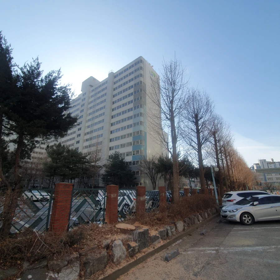 고사목 제거 4 작업 후