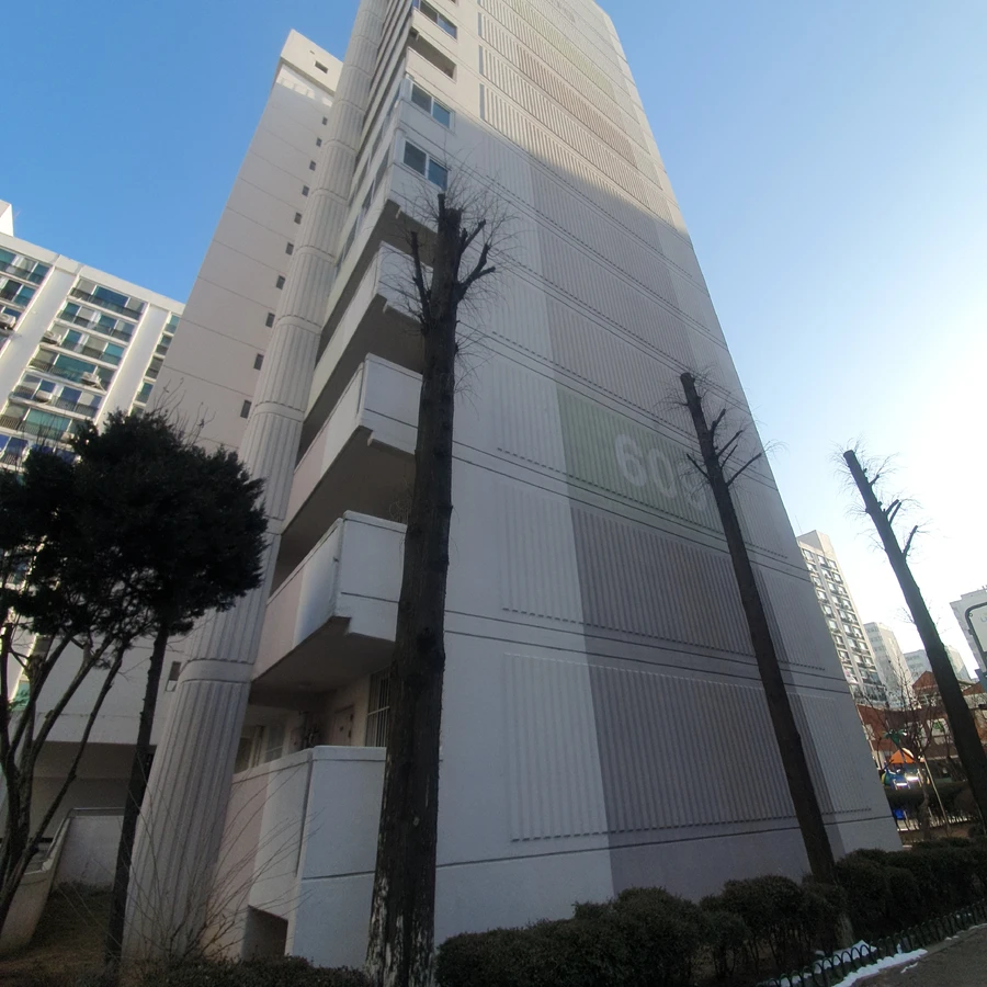 고사목 제거 3 작업 전