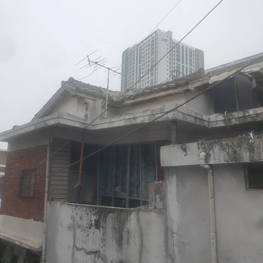 고사목 제거 1 작업 후
