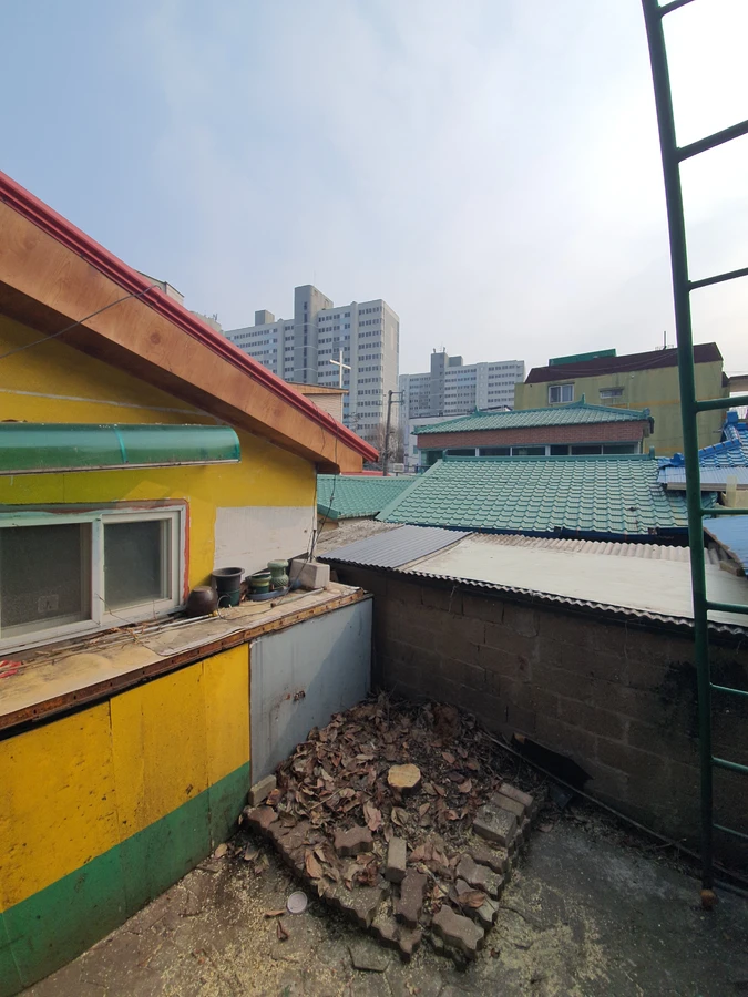 강남 쓰러진나무제거 도로 인접 위험목 안전 제거 후 - 보배종합건설