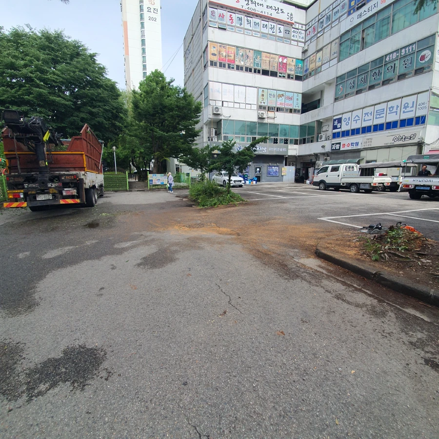강남 쓰러진나무제거 태풍 피해 쓰러진나무 제거 작업 후 - 보배종합건설