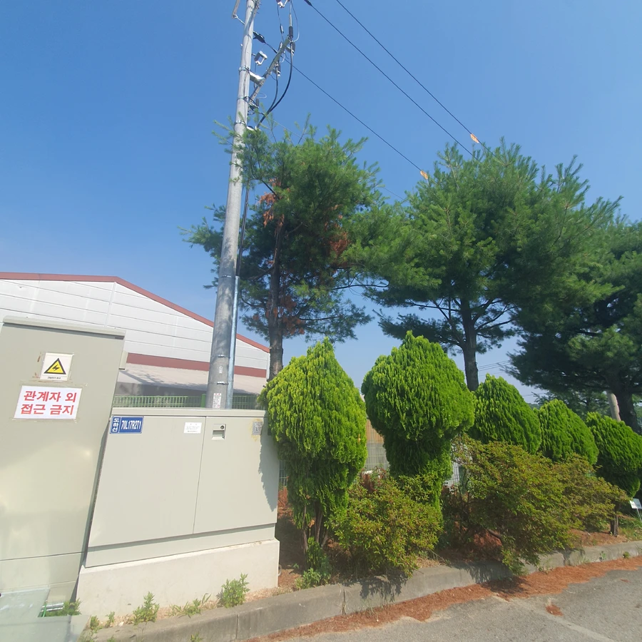쓰러진나무제거 작업 사진